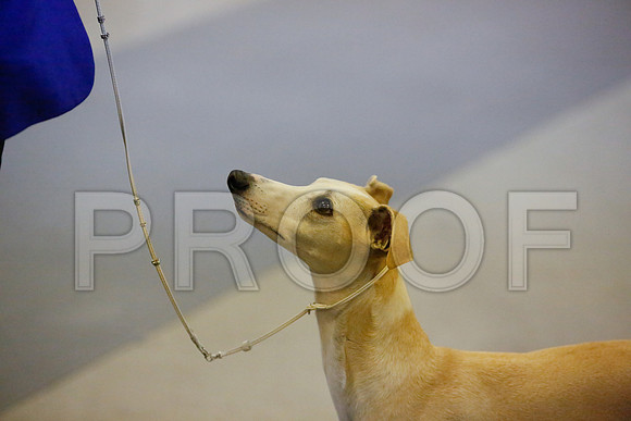 _JN_8410-AmarilloSept2014-HR3