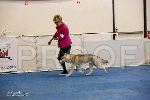 _M3_0609-AddisonHuskyMar2015-HR3