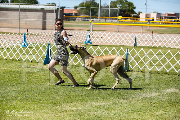_JN_6447-AlamogordoOct2014-HR3