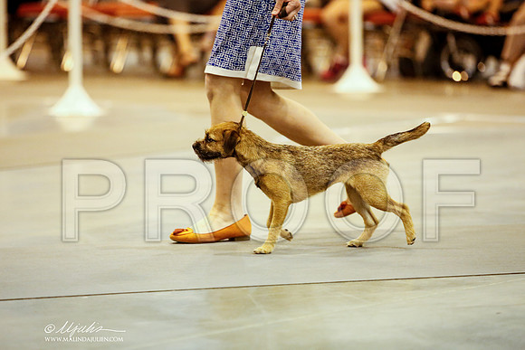 _JJ_5826-DalJul2014-HR3