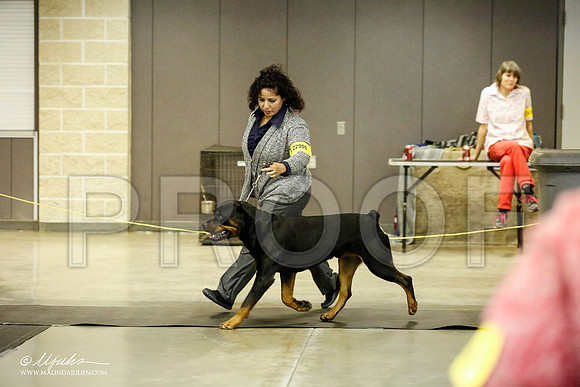 _RH_1908-BeltonJan2015IABCA-HR3