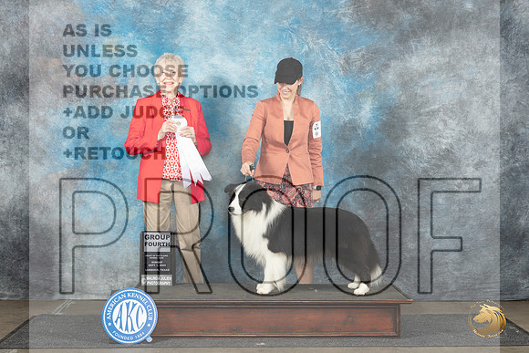 Border Collie #5 Sun G4 Judge Sharon Newcomb__JP_3988_Lubbock_2024_HR3