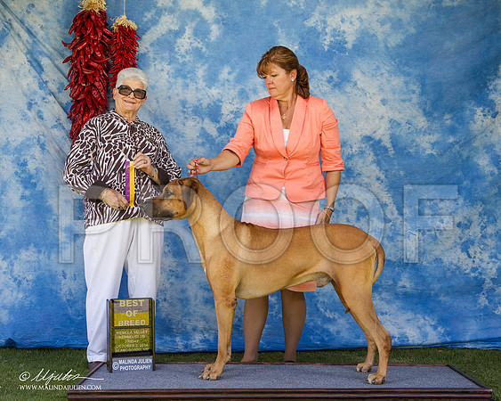 _ST_2693-AlamogordoOct2014-HR3