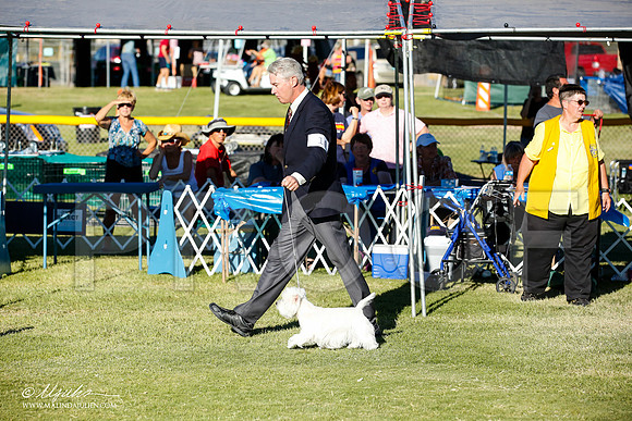 _JN_9940-AlamogordoOct2014-HR3