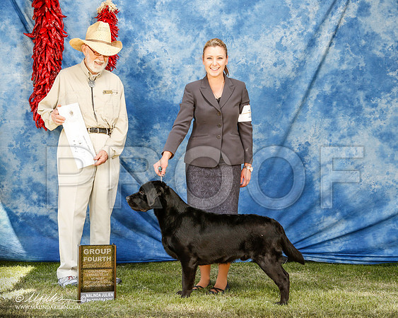 _ST_3821-2-AlamogordoOct2014-HR3