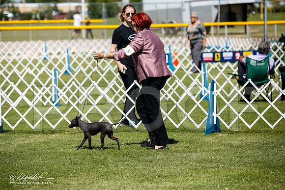 _JJ_7982-AlamogordoOct2014-HR3