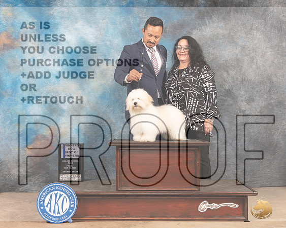 Coton #9 Fri WDBOW Judge Thomson Stansfield Jr-MMJ_3012-Addison2022-HR3