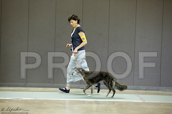 _J3L0892-BeltSep2014-HR
