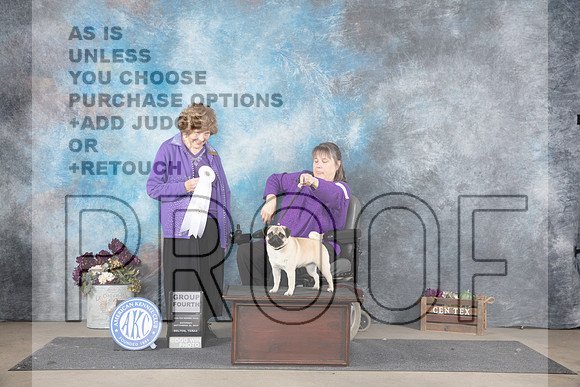 Pug #6 Sat G4 Judge Donelle Richards__JP_7178_Belton_2024_HR3