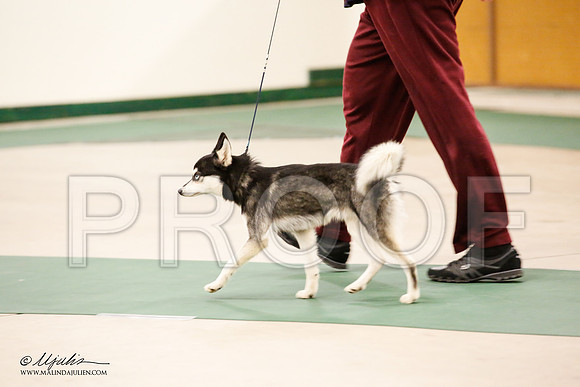 _JN_1419-NrmnNov2014-HR3