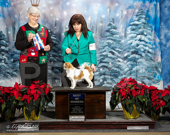 _ST_8436-DallasDec2014-HR3