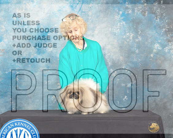 Pekingese Sat Custom-_MJ_0267HstnToy2022-HR3