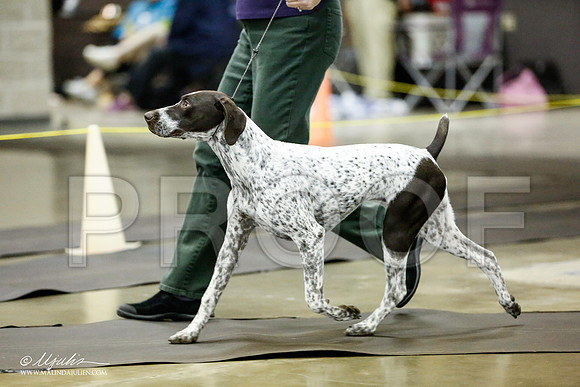 _RH_0944-BeltonJan2015IABCA-HR3