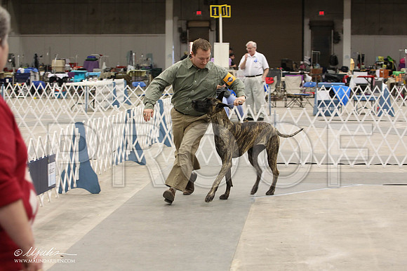 IMG_9300-Abilene2011-HR3