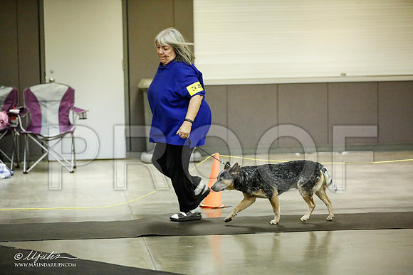 _JJ_7028-BeltonJan2015IABCA-HR3