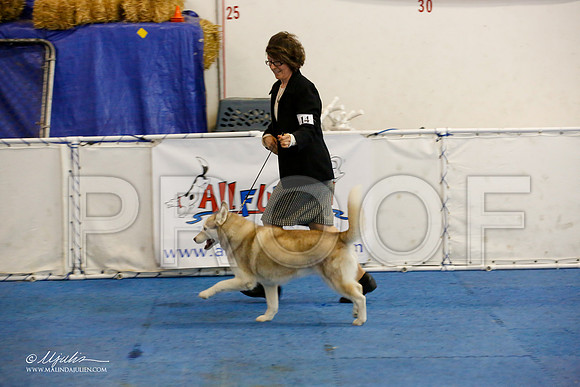 _M3_9212-AddisonHuskyMar2015-HR3