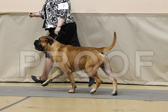 MJS_2337