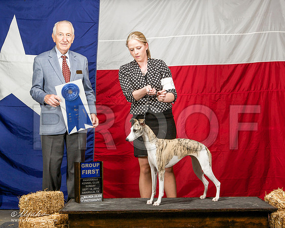 _ST_2085-AmarilloSep2014-HR3