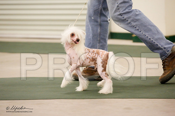 _JN_9035-NrmnNov2014-HR3