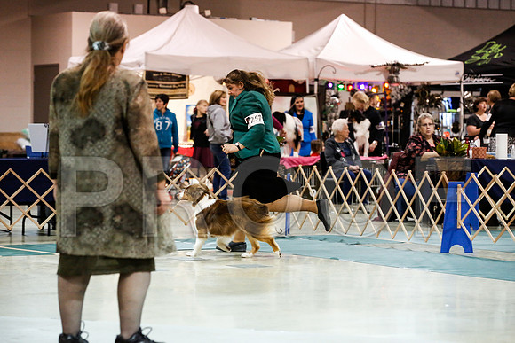 _JN_0345-ASCACollegeStationNov2014-HR3