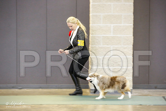_JN_2352-BeltonJan2015-HR3