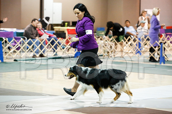 _JN_4439-ASCACollegeStationNov2014-HR3