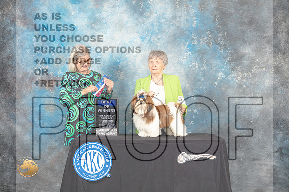 Shih Tzu #11 Sat WDBOW Judge Carol Pyrkosz_MJ_0238_HstnTOY_2022_HR3
