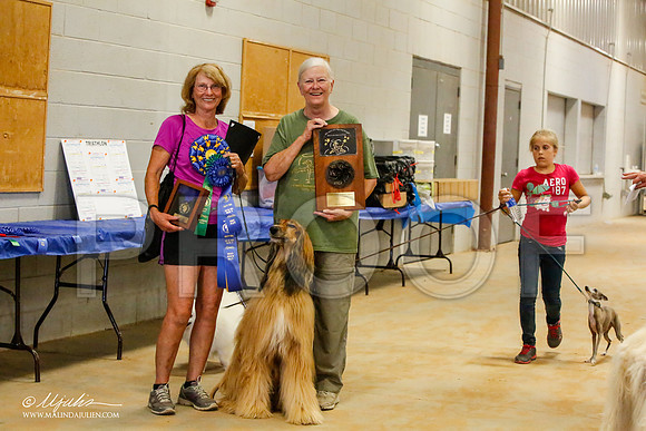 _MJ_2766-AfgBeltonOct2014-HR3