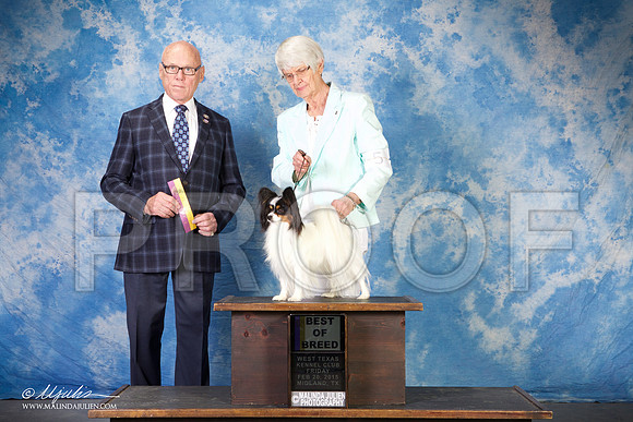 SS2_0651-BeltonJan2015IABCA-HR3