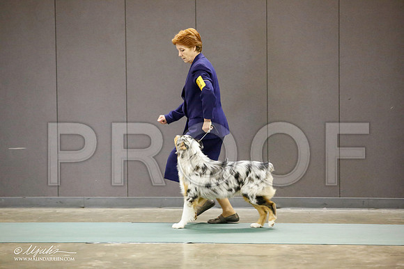 _JN_2795-BeltonJan2015-HR3