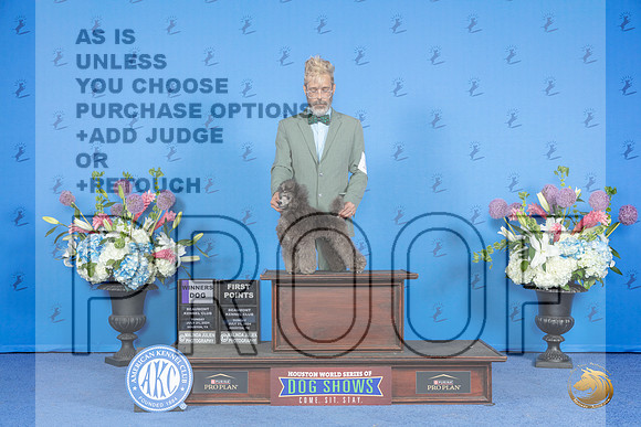 Poodle Toy #17 SUN WD Judge Douglas Johnson__JP_0783_Houston_2024_HR3