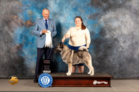 Norwegian Elkhound #7 WED OH G4 Judge Richard Nance