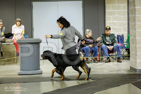 _RH_1752-BeltonJan2015IABCA-HR3