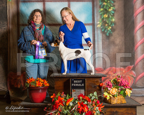 _ST_7167-NrmnNov2014-HR3