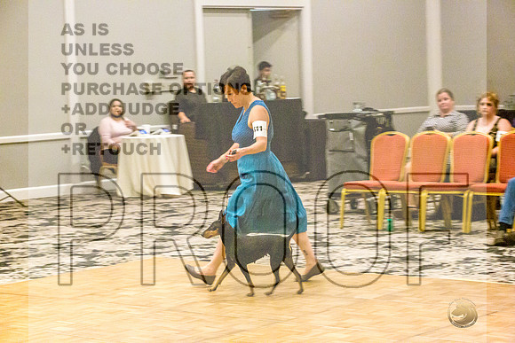 Manchester Terrier MTOY Candids-JJL_2114-Hstn2022_HR3