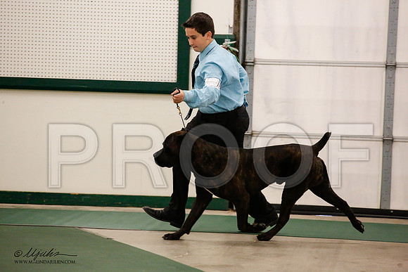 _JN_8606-NrmnNov2014-HR3
