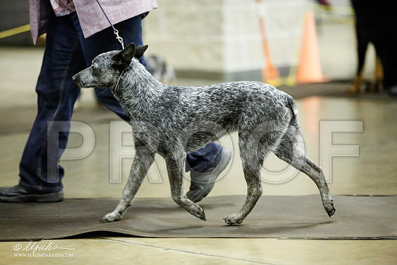 _JJ_6969-BeltonJan2015IABCA-HR3