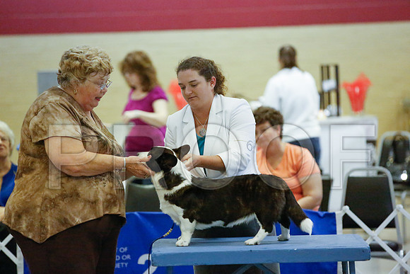 _JN_1033-AmarilloSept2014-HR3