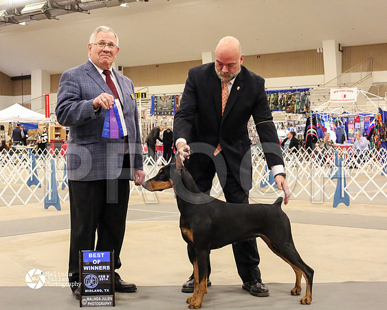 dobe-7534-MidFeb14-HR