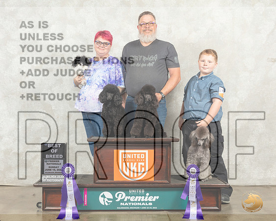 Poodles #246 BOB__MJ_9484_Premier_2022_HR3