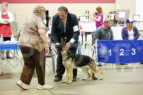 _JJ_2724-AmarilloSept2014-HR3