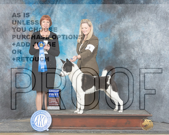 Canaan Dog #5 Sunn G1 Judge Linda Hurlebaus-_JP_6041e_Fayetteville_2024-HR3