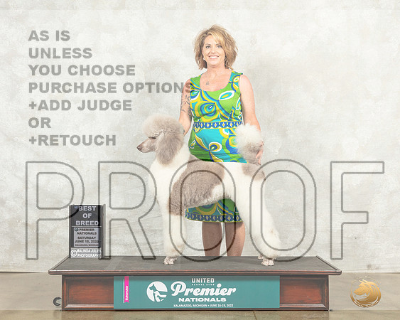 Poodle Std MC #773 Sat BOBGCh Judge Sandra Kowalski__MJ_8679_Premier_2022_HR3