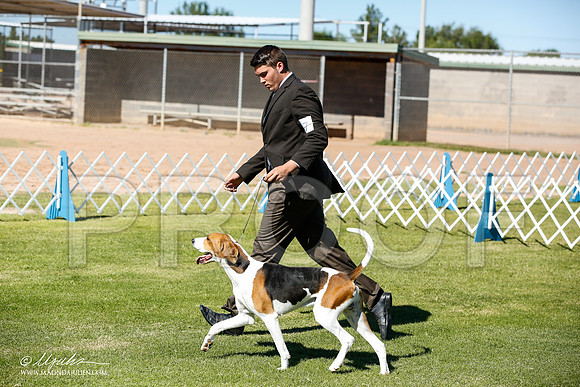 _JN_5948-AlamogordoOct2014-HR3