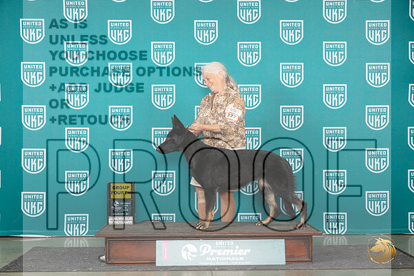 German Shepherd Dog #377 Sat G4 Judge Rick Gann__JP_2507_Premier_2024_HR3