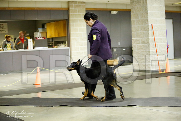 _JJ_6118-BeltonJan2015IABCA-HR3