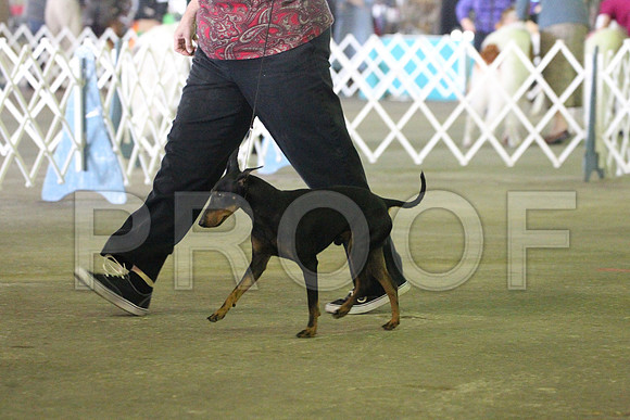 MJS_5752