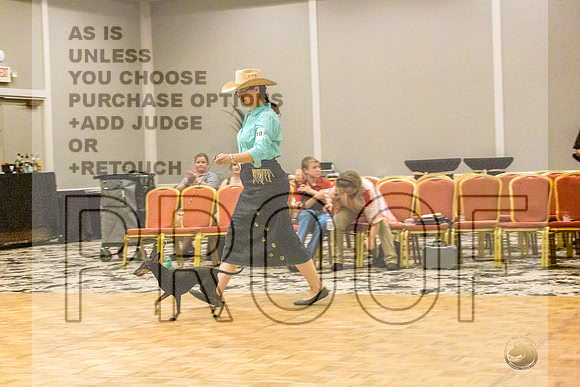 Manchester Terrier MTOY Candids-JJL_2076-Hstn2022_HR3