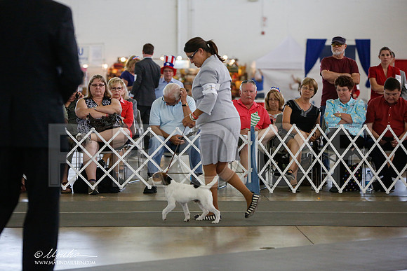 _JJ_2356-DallasJul2014-HR3