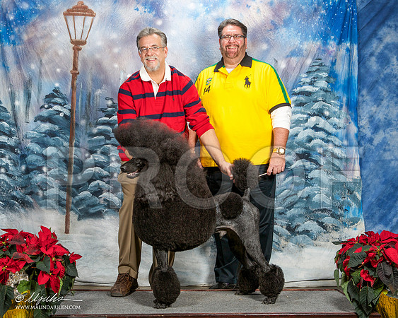 _ST_9540-DallasDec2014-HR3